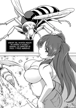 Tamaki X Suzumebachi SS (Spanish) (MTL)