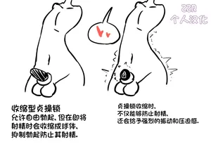 [Au79] 여존남비 세상의 정조대 女尊男卑世界的贞操锁 [ZZR个人汉化]