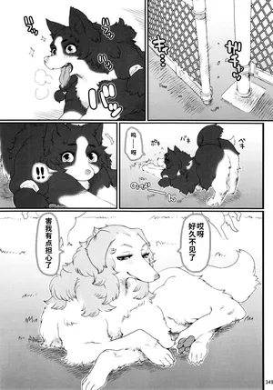 (C89) [Mayoineko (Nezumin)] Dog Park (Kemokko Lovers 6) [Chinese]