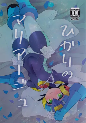 [Hokuto no Take (Kokeda)] Hikari no mariaaju (Rockman.EXE)