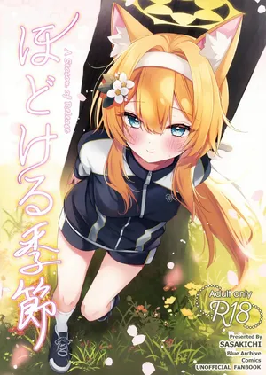 (せんせーのアーカイブ13) [でこぽんず (ささきち)] ほどける季節 (ブルーアーカイブ)