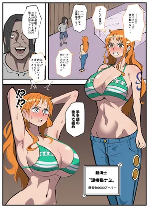 [絵描き外国人] skebナミ (ワンピース)