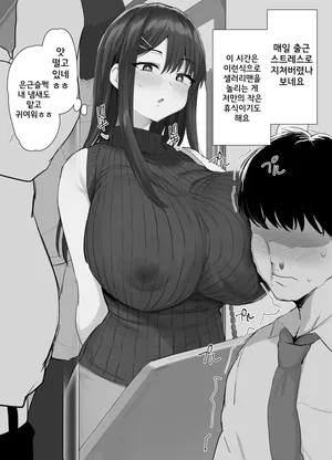 [Noripachi] Tsuukin densha chijo │ 통근전차치녀 [Korean]