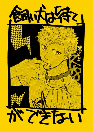 [SUSHIYA (Sushido Ayumu)] Kaiinu wa `mate' ga dekinai (Persona 5)