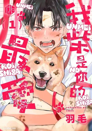 [Umou] Ummei no Koi Shiba︱我「柴」是你的最爱 [Chinese][1-6][完]