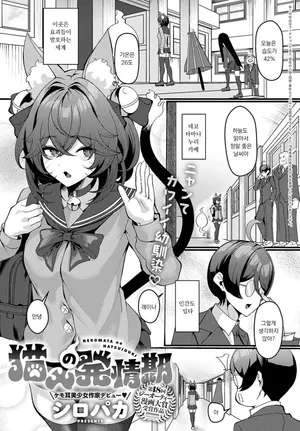 [Shiro Paka] NEKOMATA no HATSUJOUKI (COMIC Anthurium 2025-07) [Korean]