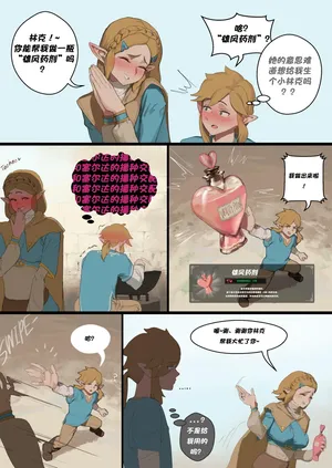 [Wjs07] Zleda x bokoblin 2 | 塞尔达和波克布林 2 [洋葱个人汉化]