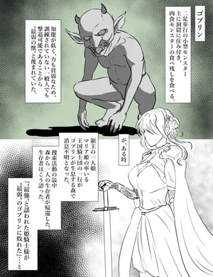 [Tomii Roba] Hime Kishi vs Goblin