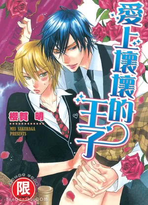 [SAKURAGA Mei] Warui Ōji Demo Suki｜爱上坏坏的王子 [Chinese][全1卷]
