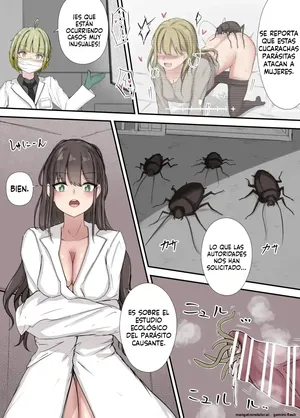 After Report (Spanish) MTL