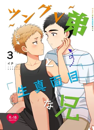 [Suita Kobara ni Choudo Ii (ichi)] Tsungure Otouto to Kimajime na Ani 3 [Digital]