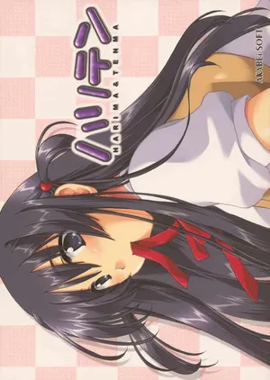 (CR35) [AKABEi SOFT (Alpha)] HariTen - Harima & Tenma (School Rumble) [korean]