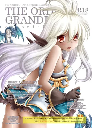 [Newtype Kenkyuujo (Kotowari)] THE ORDER GRANDE chronicle (Granblue Fantasy) [Digital]