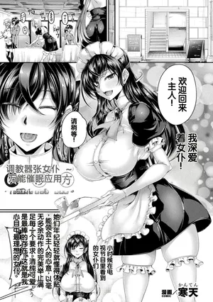 [Kanten] Namaiki Maid no Shitsukekata ~Bannou Saimin Application~ (Kukkoro Heroines Vol. 53) [Chinese]