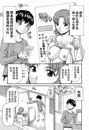 [紫色雁行] DSSP (鬼畜ゲーム) 中文翻譯