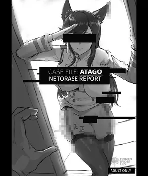 CASE FILE: ATAGO NETORASE REPORT