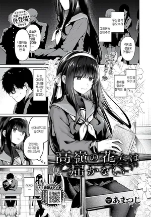 [Amatsuji] Takamine no hana ni wa todokanai (COMIC BAVEL 2025-10) [Korean]