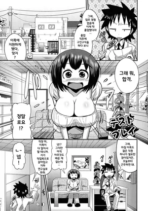 Tesuto Purei