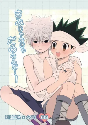 (Re:HUNTER 11) [Koiing (f)] Kimi ja Nakya Dame Nanda…! (Hunter x Hunter)