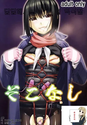 (C91) [Tairikukan Dandoudan Dan (Sakura Romako)] Sokonashi | 바닥 없음 [Korean]