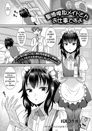Seiki Sakushu Maid-san Oshigoto Desu Yo [Delnero] [Spanish]